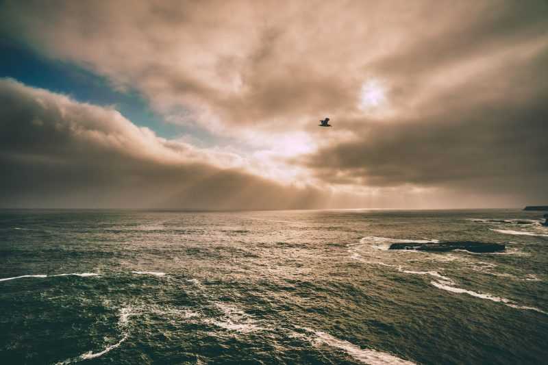 God’s Mercy