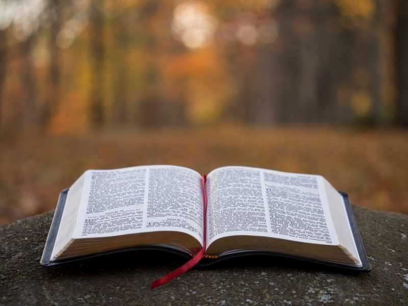 Women's Devotional Bibles