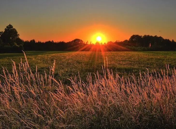 a sunset over a field