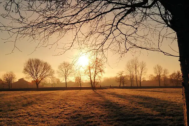 Golden sunrise over a quiet landscape