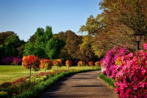 Powerful Sunday Prayer for May 04 2025