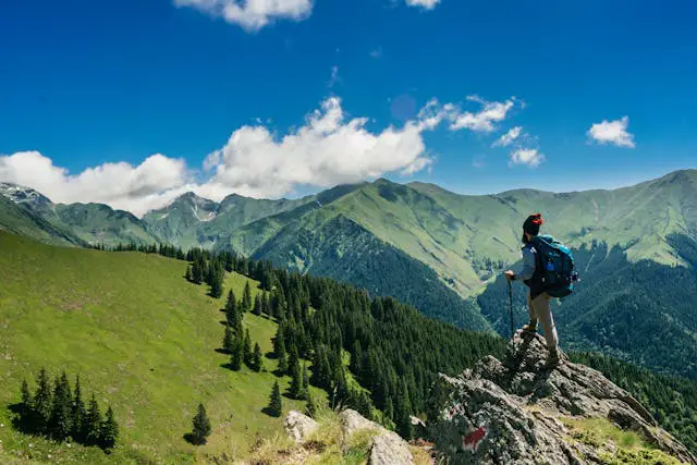 a person standing on a rock looking at a mountain range