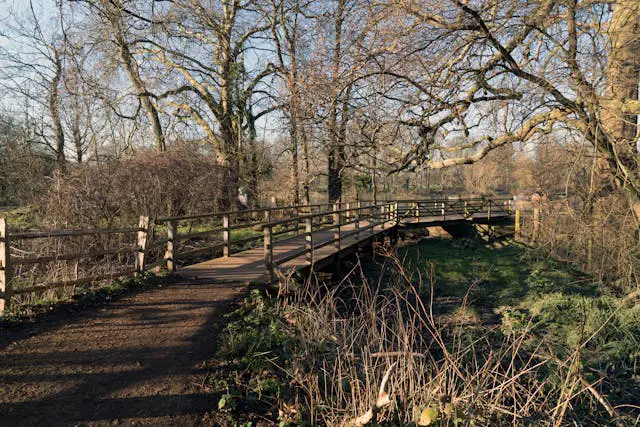 a wooden bridge over a stream