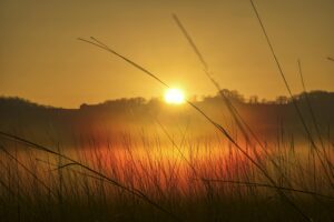 Prayer for June
