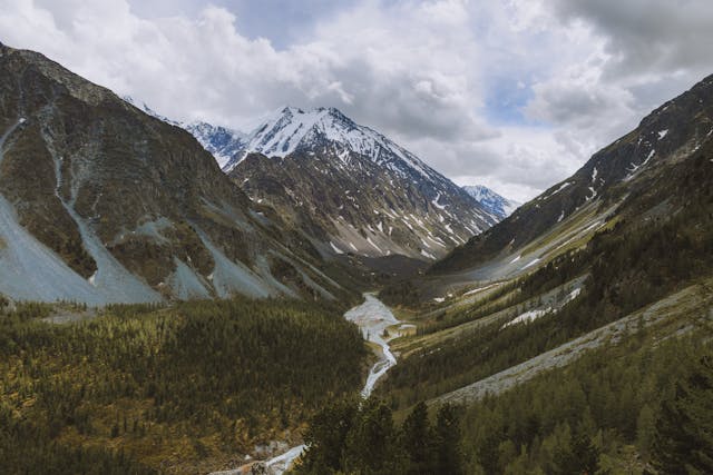 a valley with trees and mountains