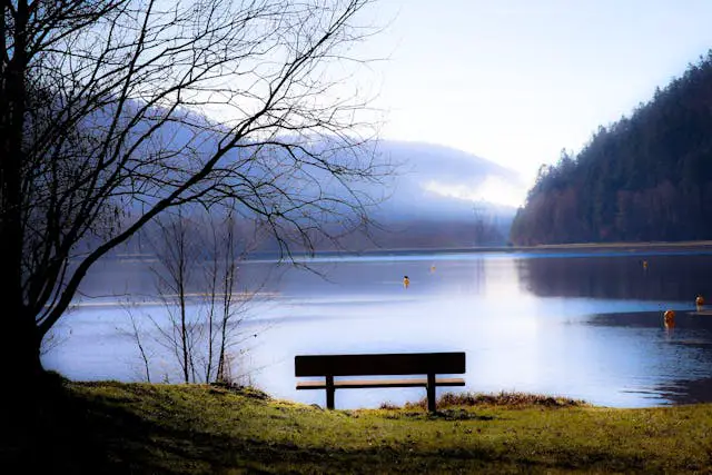 a bench overlooking a lake