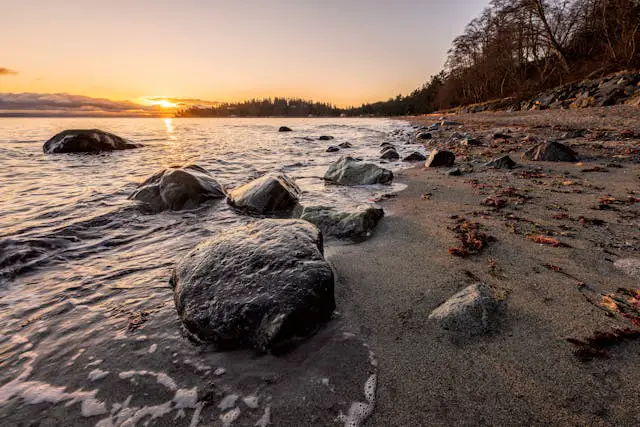 Gray rocks on a seashore