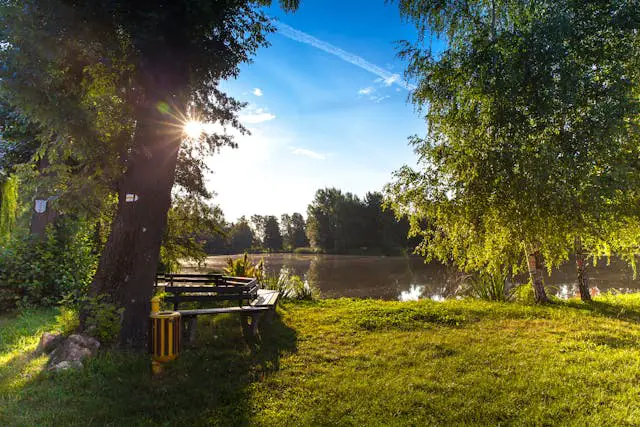a bench next to a body of water