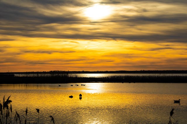a sunset over a body of water