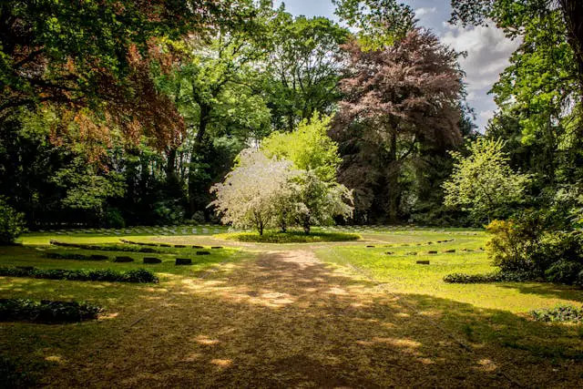 a grassy area with trees and a path