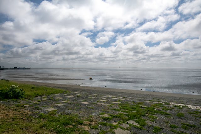 a beach with grass and a cloudy sky