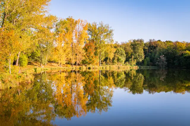 a lake with trees and a hill in the background