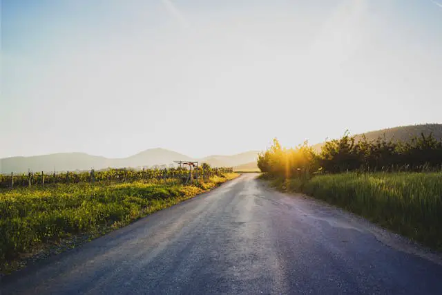 a road with grass and trees in the background