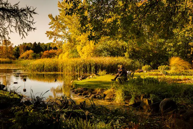 a person sitting on a bench by a lake