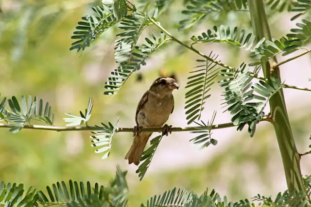 Bird perched on green branch.