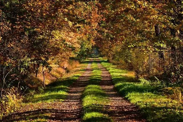 Prayer for October 10 2025