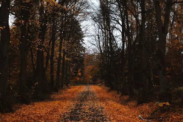 Prayer for October 18 2025