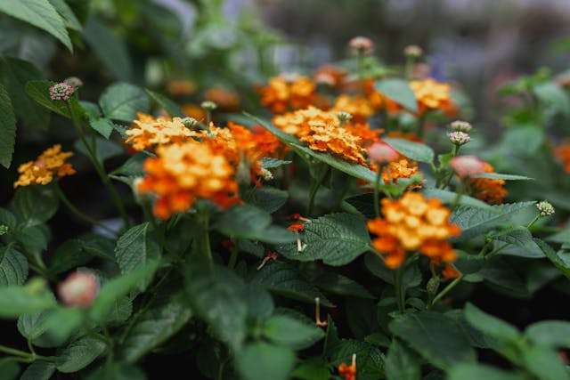 Prayer for October 28 2025