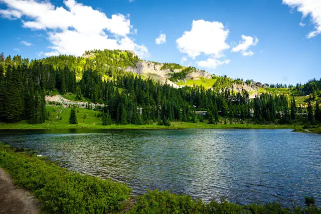 Serene lake surrounded by lush greenery.