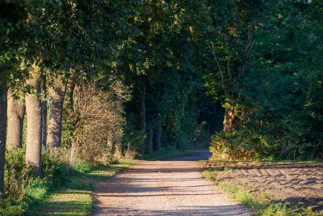 Prayer for October 24 2025