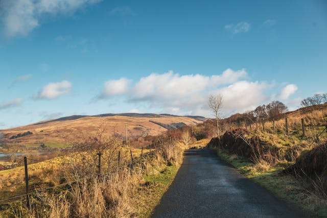 Scenic road through golden countryside