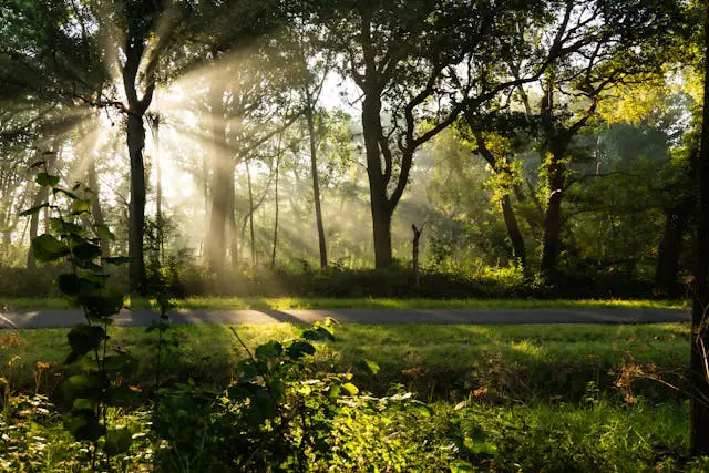 Prayer for October 31 2025