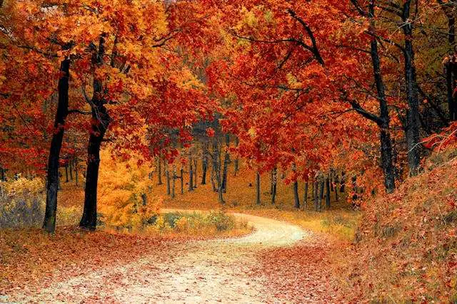 Prayer for October 15 2025