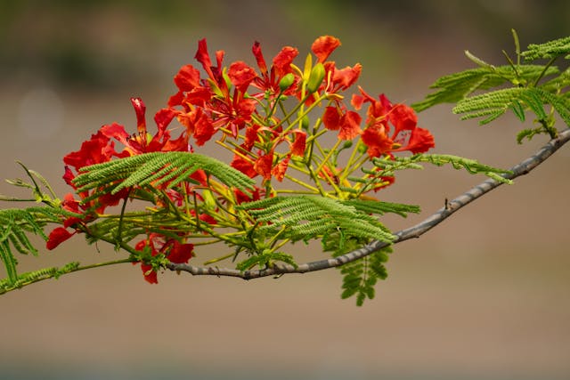 Prayer for October 25 2025