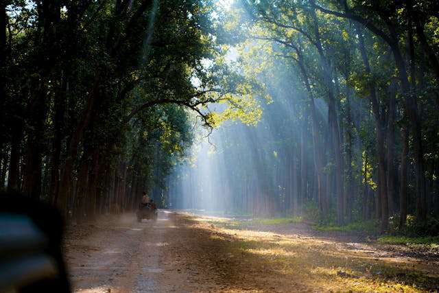 Prayer for October 23 2025