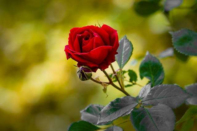 Prayer for October 17 2025