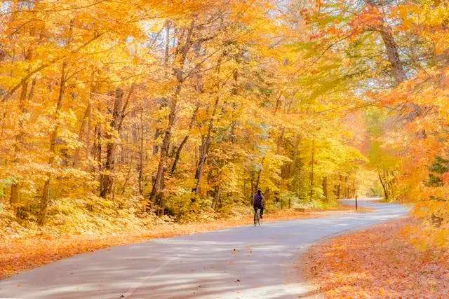 Prayer for October 11 2025