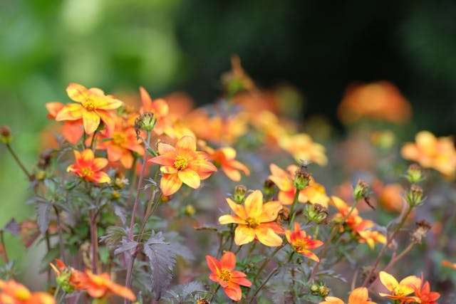 Prayer for October 27 2025