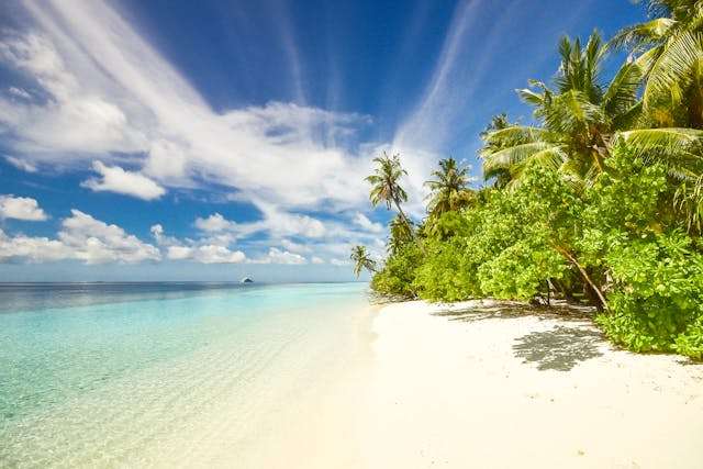 Tropical beach with clear blue water
