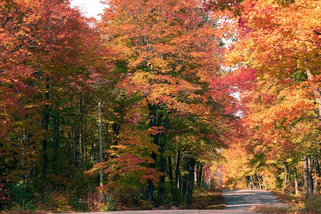 Prayer for November 29 2025