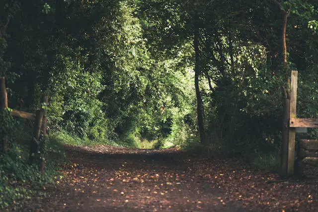 Prayer for November 03 2025