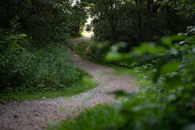 Prayer for November 01 2025