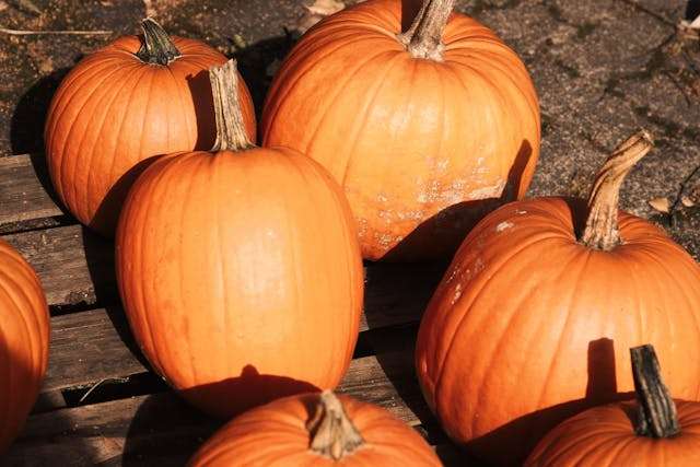 Prayer for November 22 2025