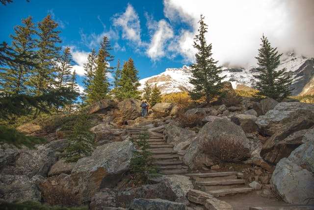 Two people are climbing a stone stairway near green pine trees under a blue sky.