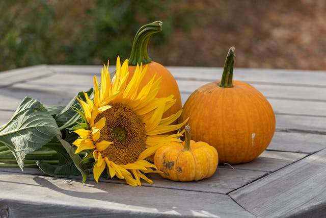 Prayer for November 21 2025