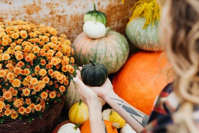 Person holding small green pumpkin