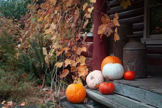 Prayer for November 19 2025