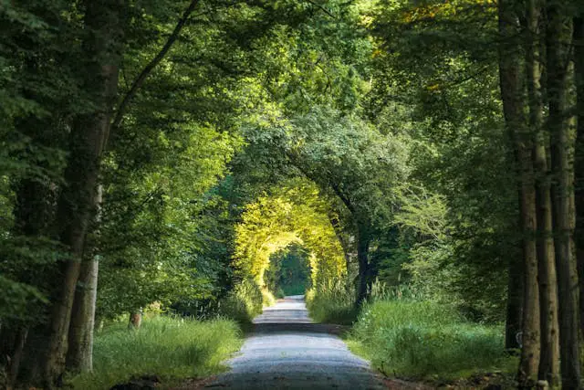 Prayer for November 04 2025