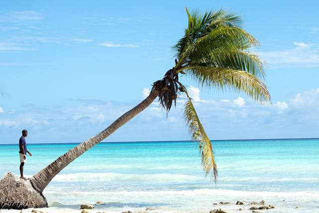 Prayer for November 15 2025