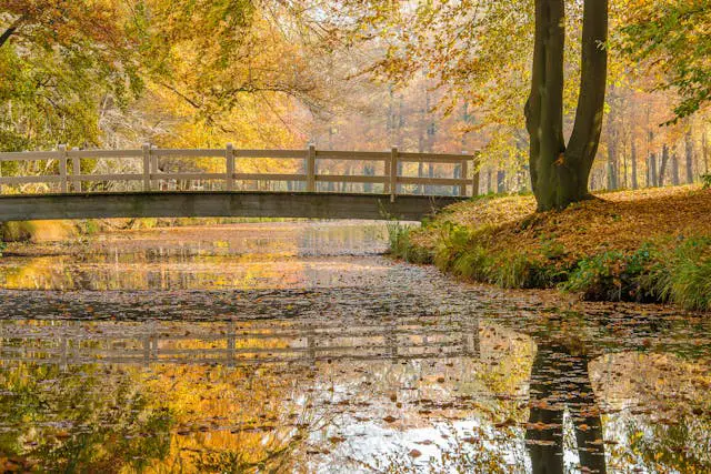 Prayer for November 09 2025