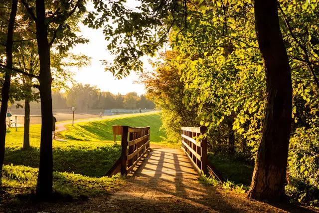 Prayer for November 11 2025