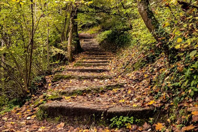 Prayer for November 08 2025