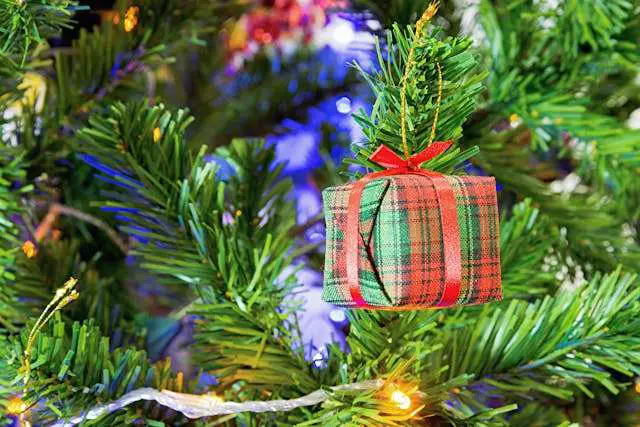 Christmas gift on tree branch