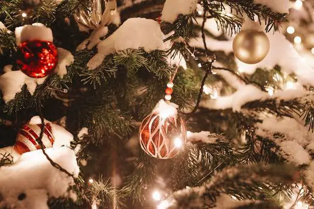 Prayer For December 13 2025