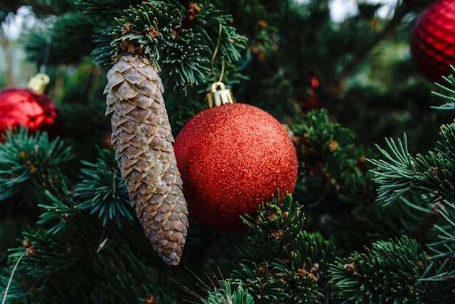 Christmas tree with ornaments and pinecone