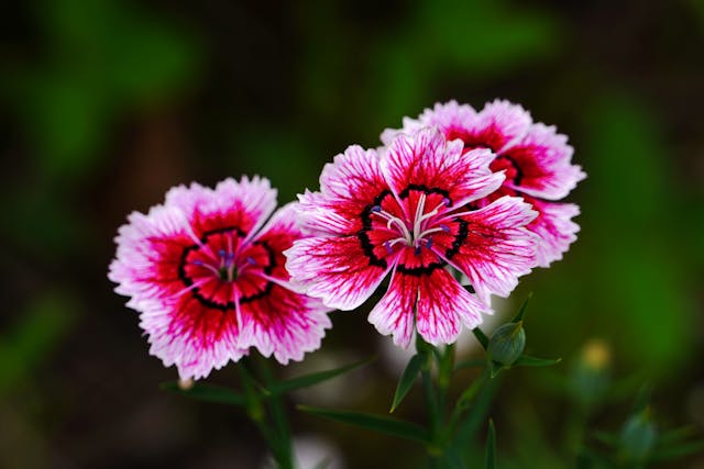 Prayer for January 11 2026